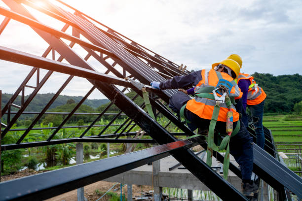 Best Metal Roofing Contractor  in Honeygo, MD